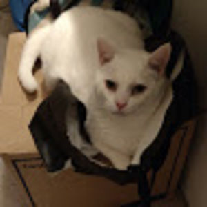 Meet your Posher, Yvonne